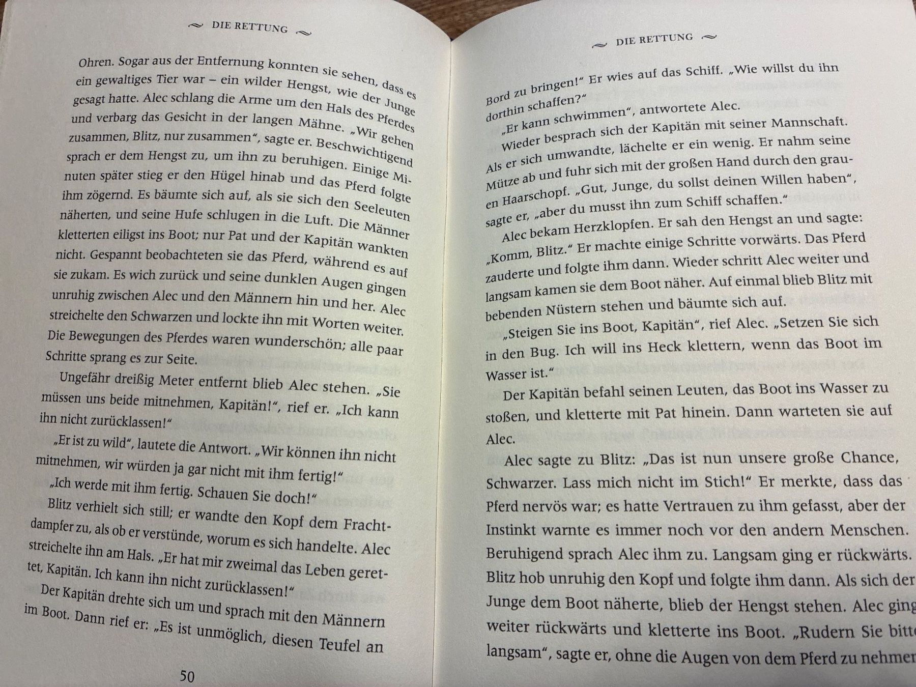 Libri: Buch- Blitz Der schwarze Hengst – Usato da Guntershausen venduto da Gloominati 2