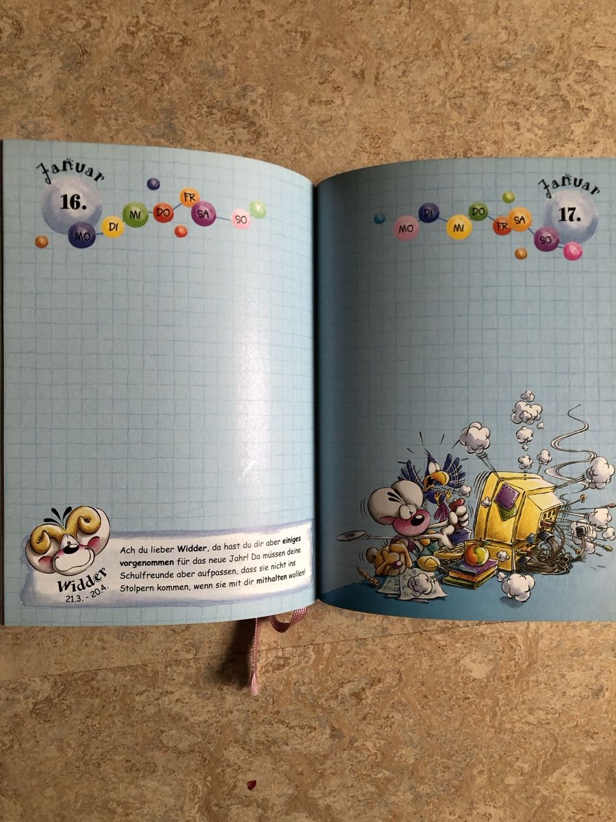 Libri: Diddl Sternzeichen-Schülerkalender, Vintage 2003 – Nuovo (secondo la descrizione) da Brugg AG venduto da Vintage_und_Allerlei 1