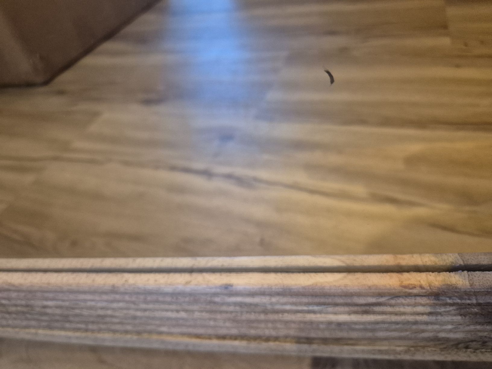 Armoires miroirs: zwei Spiegelschränke – D'occasion à Gränichen par Amsel22 8