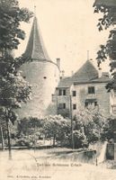 Erlach BE Schloss Erlach Turm