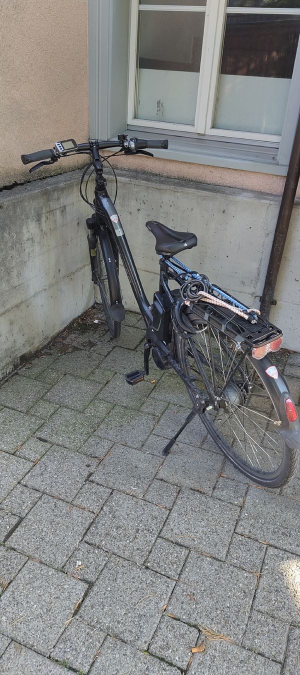 Flyer Velos: E-Bike Flyer – Gebraucht aus St. Gallen von r-e-t-o 3
