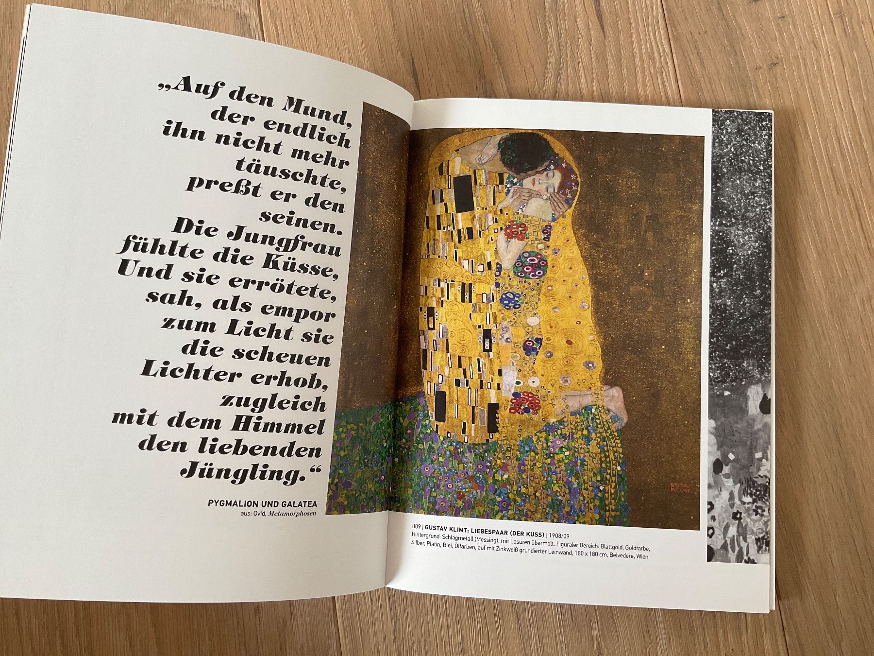 Libri: Gustav Klimt DER KUSS – Usato da Breitenbach venduto da geni014 3