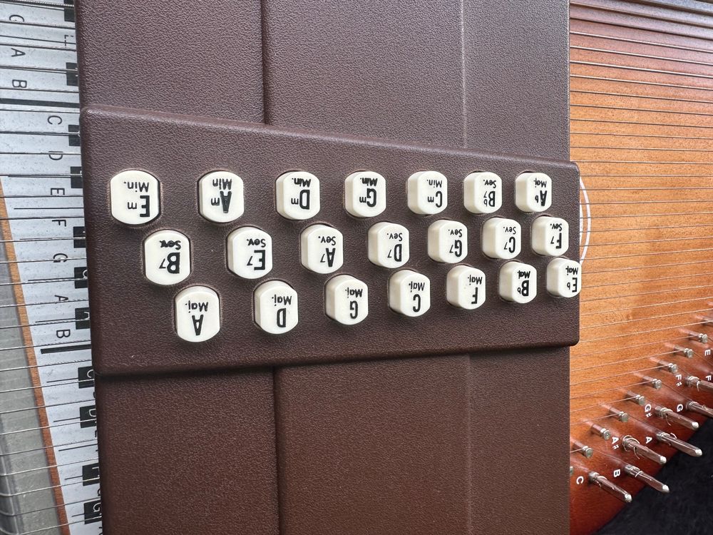 Autoharp Oscar Schmidt OS21C Kaufen auf Ricardo