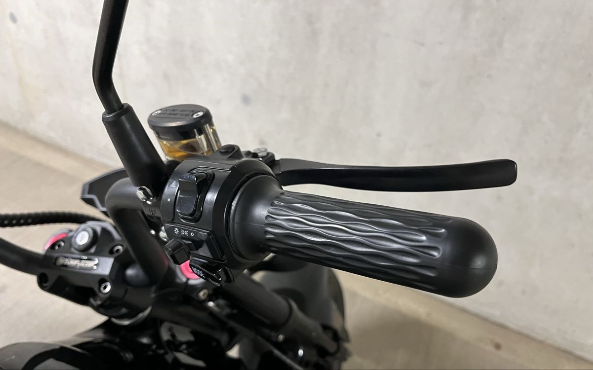 Veicoli elettrici: Züriflizzer City Max RS PRO – Usato da Wolfhausen venduto da Joshua_Ricardo 8