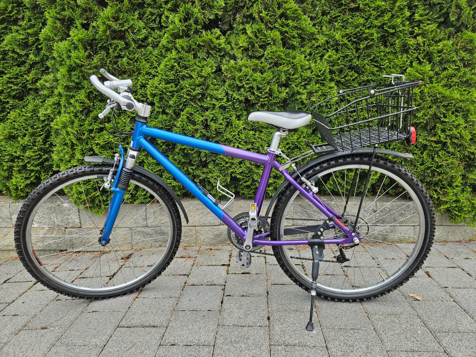 BMC Biciclette: Mountainbike BMC/Lola – Usato da Walterswil SO venduto da Myannick 2