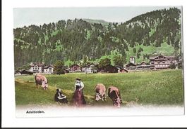 AK ca. 1920  Adelboden, Belebt mit Trachten und Kühen