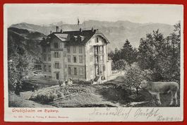 Grubisbalm am Rigiberg 1906