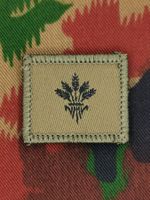 Funktionsabzeichen Nachschubsoldat, Variante 2