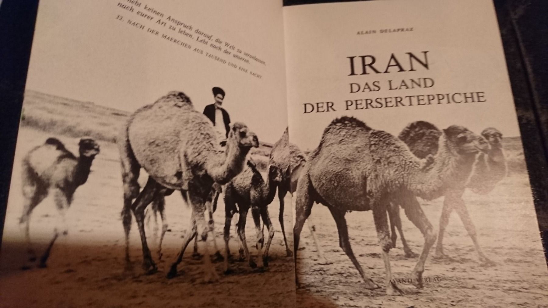 Libri: Iran - Das Land der Perserteppiche – Usato da Remetschwil venduto da Privatflohmi 1