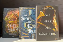 Bücherset 3 Fantasy Romane