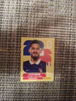 Panini