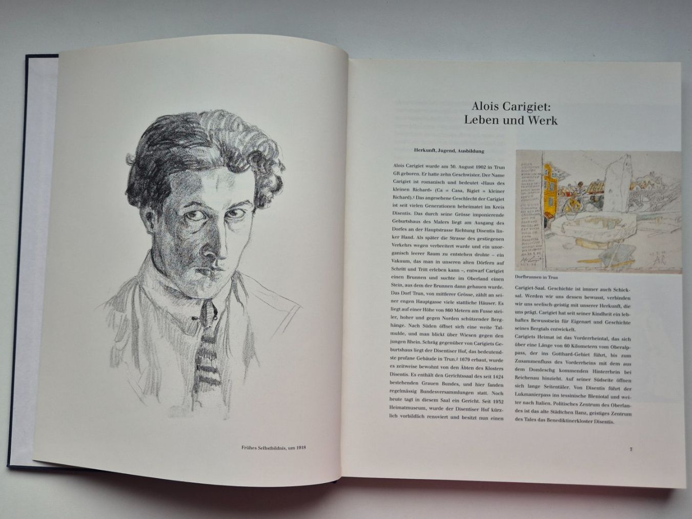 Libri: CARIGIET  🔔   1992 – Usato da Niederweningen venduto da Obson 3