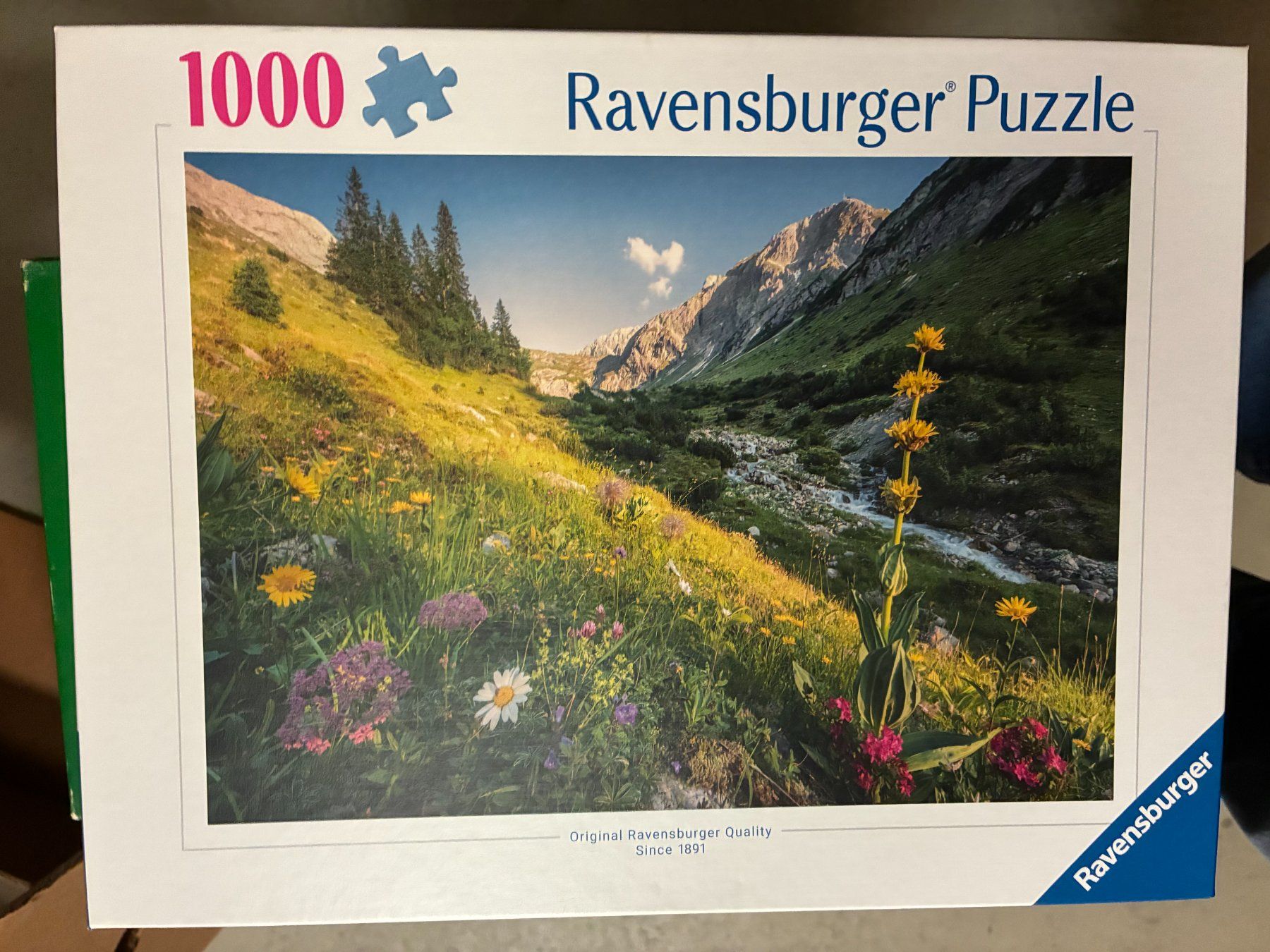 Ravensburger Puzzles: Puzzle " Magical Valley" – Gebraucht aus Seuzach von reg_8ykx