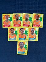 8 Panini Sammelbilder von Elfenbeinküste