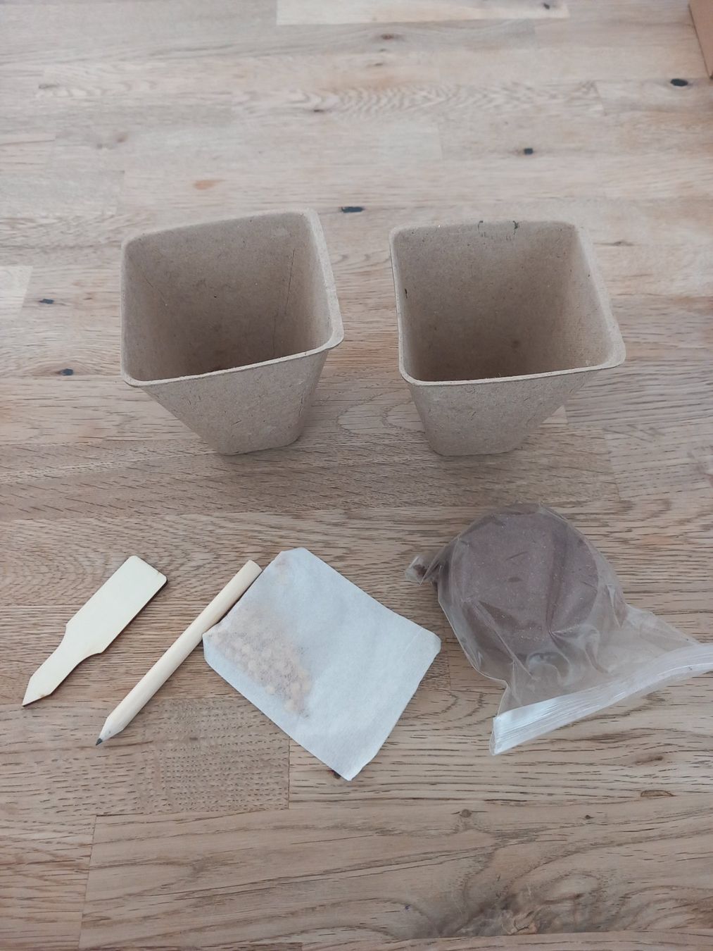 Piante & sementi: Pflanzen Samen Granatapfel. TOLLE GESCHENKIDEE – Nuovo e nell'imballaggio originale da Thun venduto da Beas-Allerlei 1