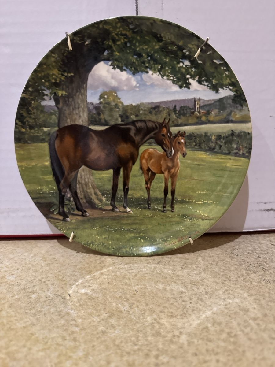 Spode Piatti: Sammelteller Spode English Thoroughbred – Usato da Zumikon venduto da 19monica75