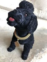 Königspudel Wackel hund