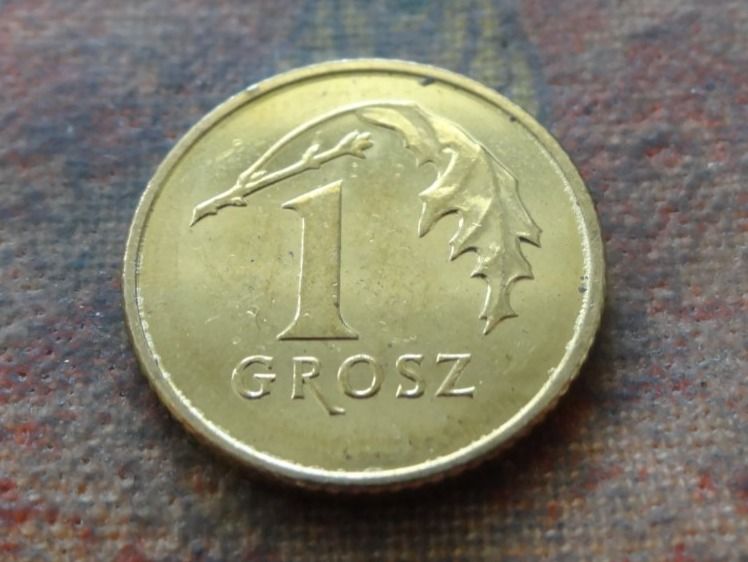 Tutti le monete: Pologne  1  Grosz  2019 – Usato da Romanel-sur-Lausanne venduto da Swift13 1