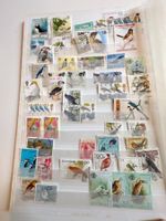VOGEL BRIEFMARKE LOT