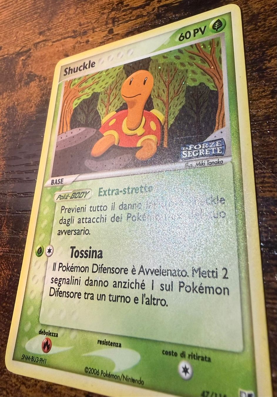 Pokémon Carte collezionabili: Shuckle Reverse Holo 47 – Usato da Zürich venduto da PEACECOCOON 1
