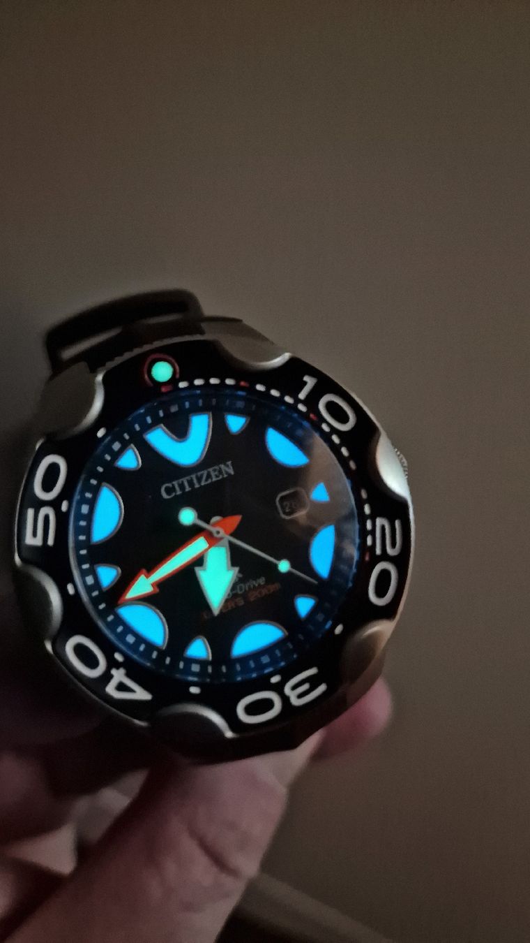 Citizen Orologi: Citizen Eco-Drive Promaster Orca – Nuovo (secondo la descrizione) da Urtenen-Schönbühl venduto da Saints67 7