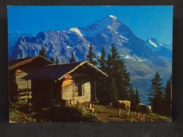Eiger, Jungfrau