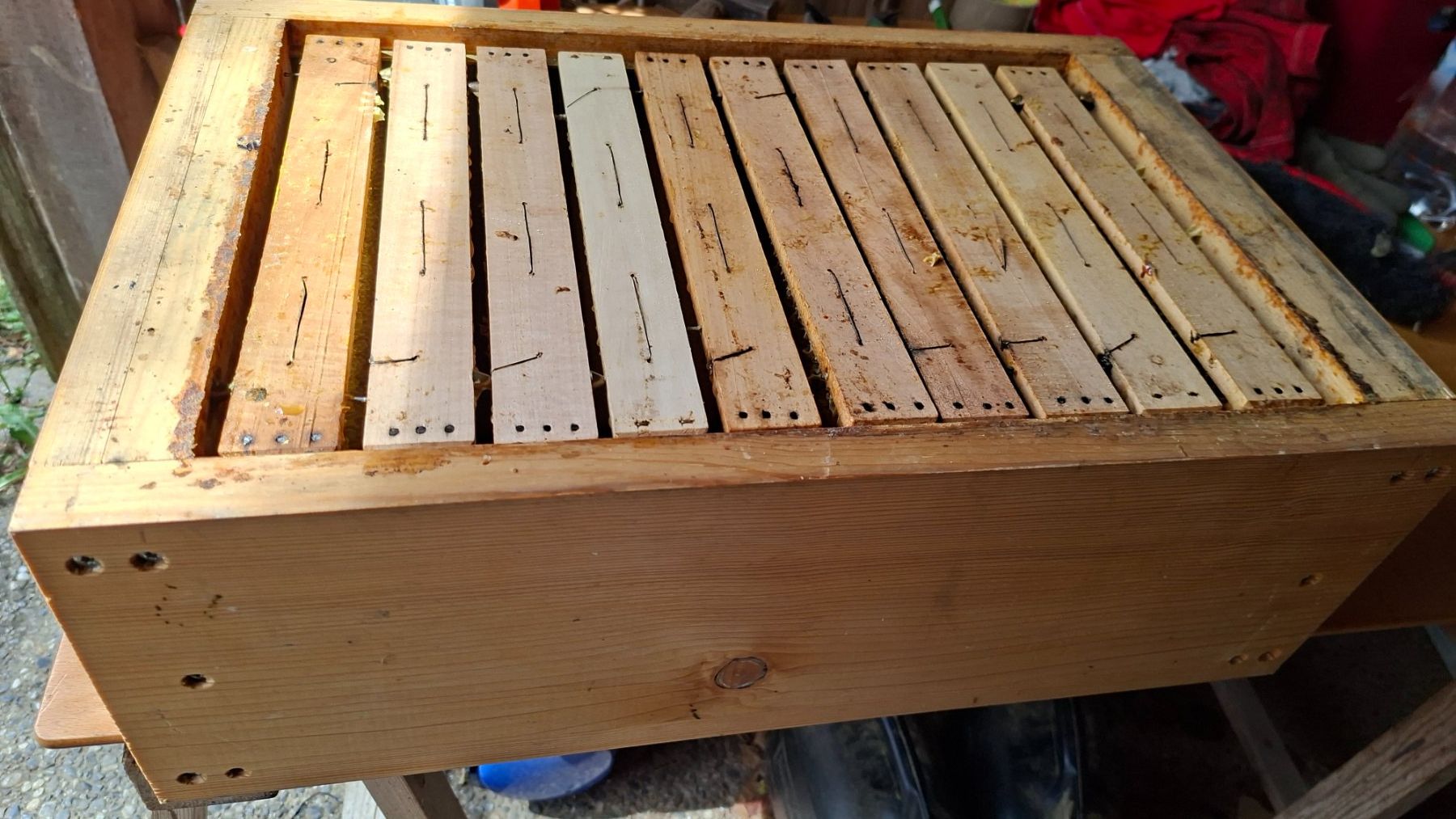 Alveari: Magazin Schweizermass mit Bienen – Usato da Gibswil venduto da Schufi2 1