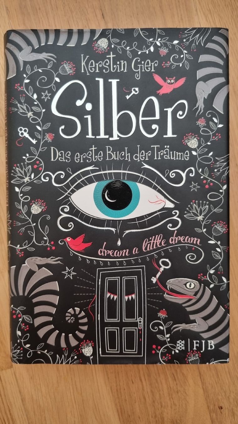 Livres: Buch "Silber" Kerstin Gier – Neuf (Voir description) à Wauwil par lin_hn8v