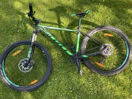 Scott Syncross Mountain Bike (Fox Dämpfer)