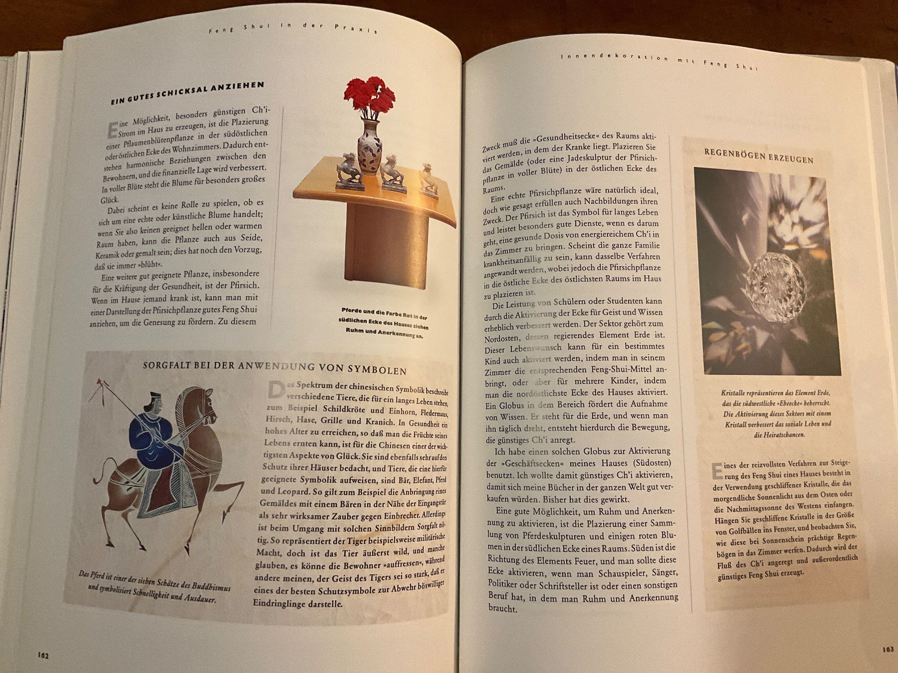 Libri: Das große Buch Feng Shui -  Lillian Too – Usato da Avenches venduto da Lactobacille 6