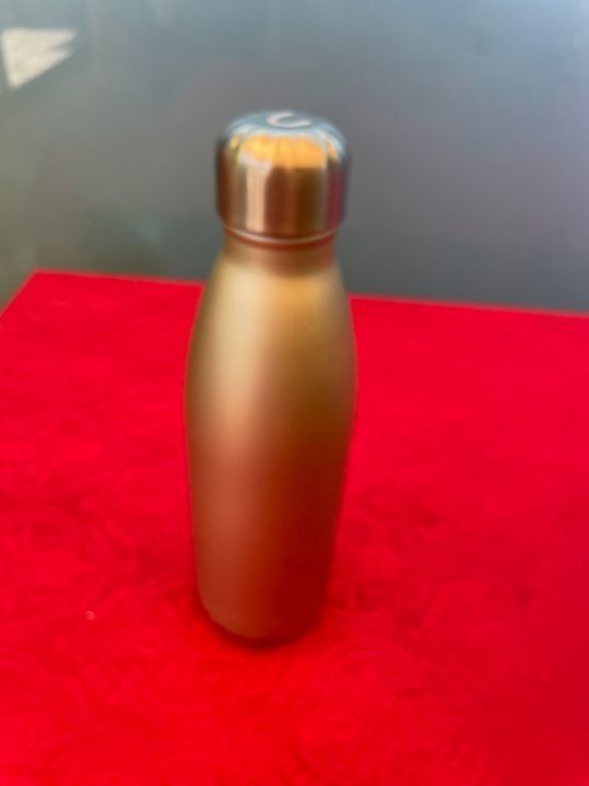 Borracce & Thermos: Trinkflasche Silber 0.5 Lit – Usato da Bergdietikon venduto da antovale