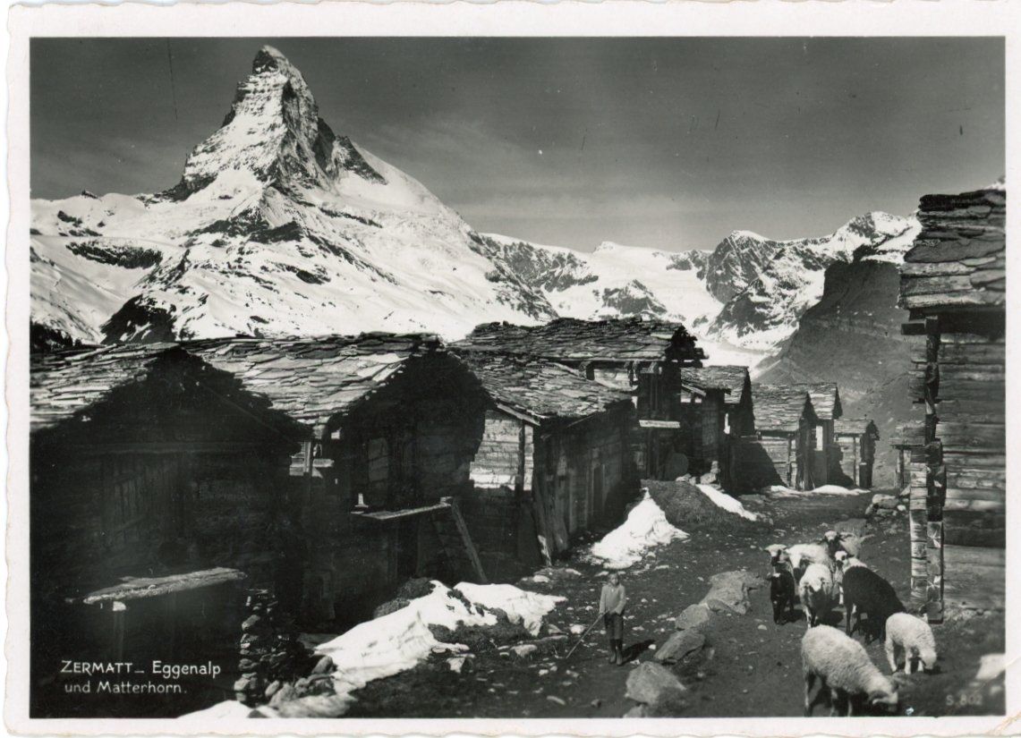 Cartoline postali: Zermatt   VS  -    EGGENALP  /  Schafe     um 1928 – Usato da Brig venduto da Valcards54