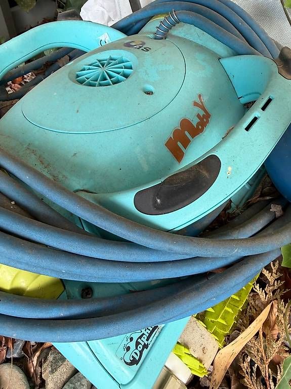 Dolphin Schwimmbad-Zubehör: Dolphin Moby Poolroboter (Maytronics) mit Netzteil & Kabel – Gebraucht aus Luzern von jd111111 1