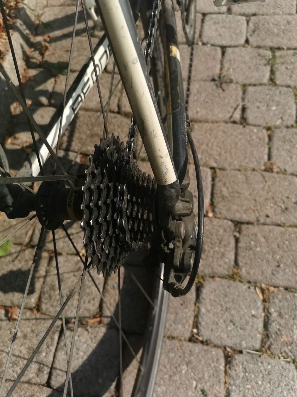 Biciclette: Carbonvelo – Usato da Elsau venduto da Bruno171 3