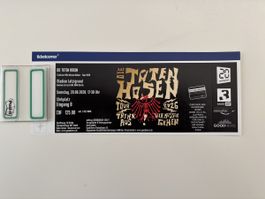 Die Toten Hosen 20.6.2026 Zürich - 1 Ticket Stehplatz