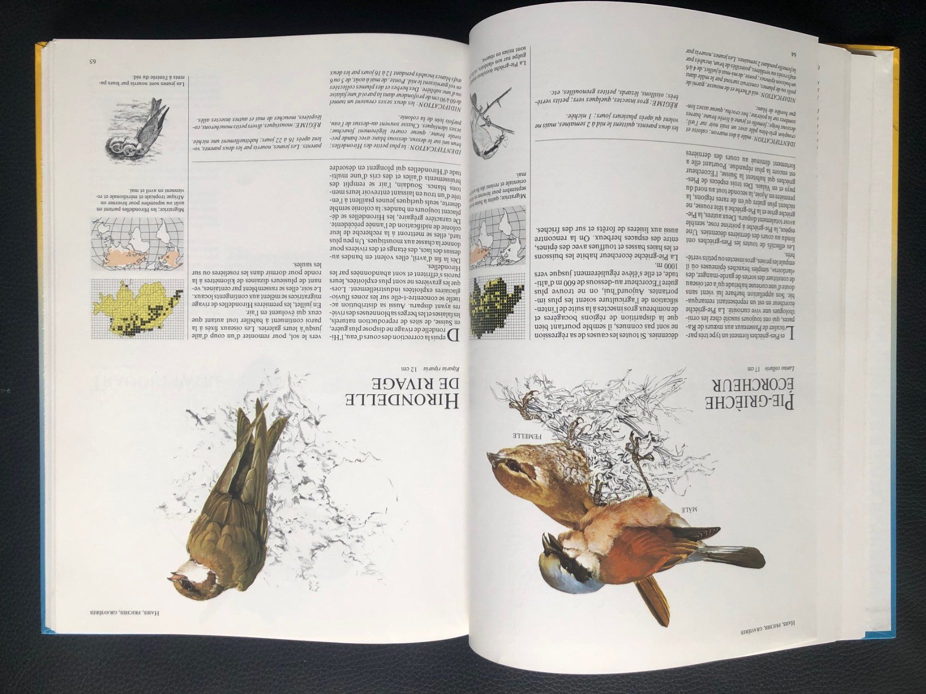 Libri: Guide des oiseaux de Suisse – Usato da Haute-Nendaz venduto da photoksar 1