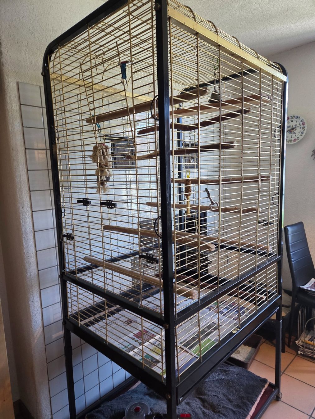 Cages, transport & sécurité: Papageien Voliere – D'occasion à Kefikon TG par barbarabolli