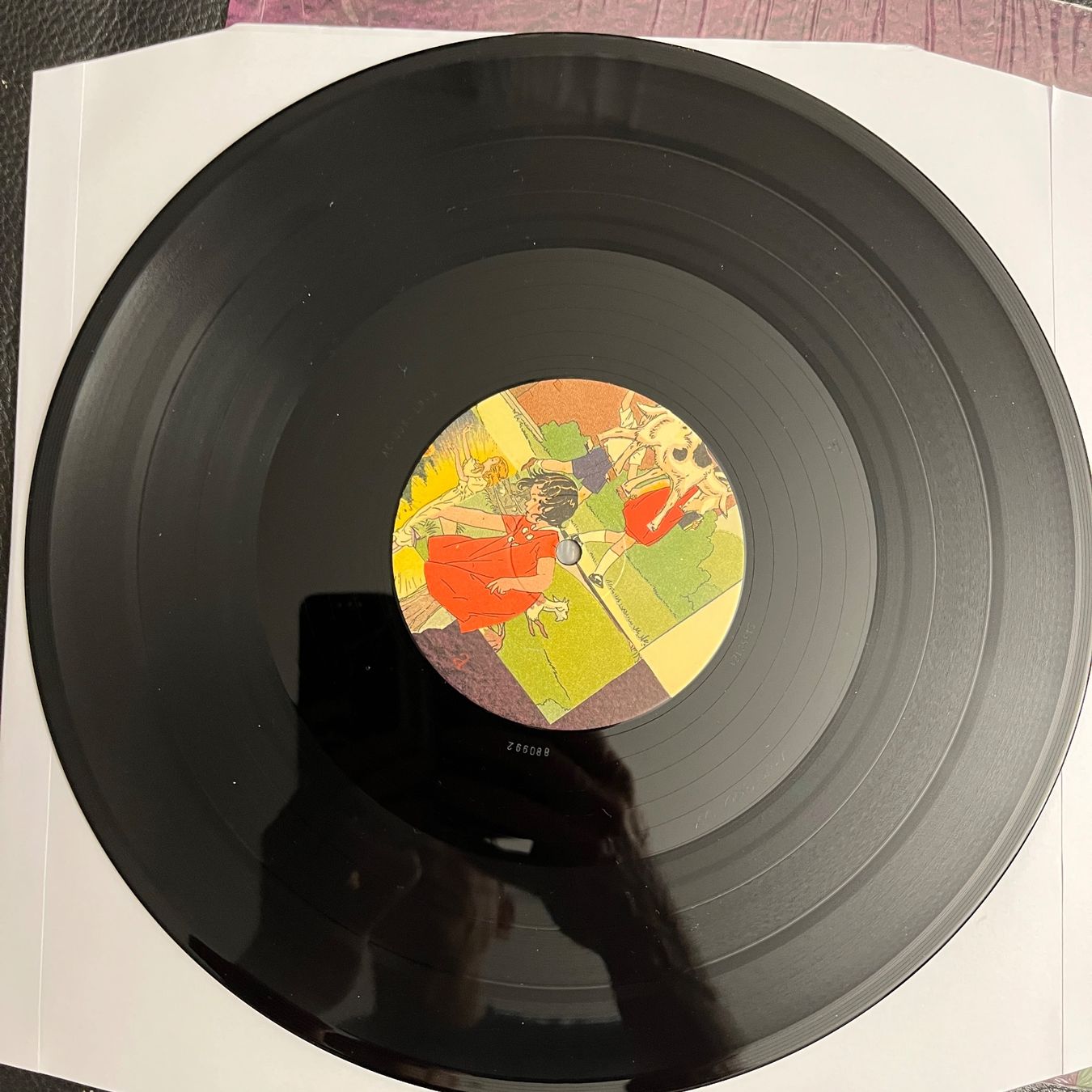 Dischi in vinile: Animal Collective - Feels  - Vinyl - Doppel-LP – Usato da Lenzburg venduto da sch_lml8 2