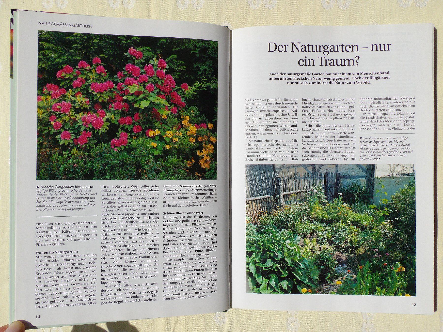 Libri: Der gesunde Biogarten - Das Beste – Usato da Uster venduto da urs_75by 3