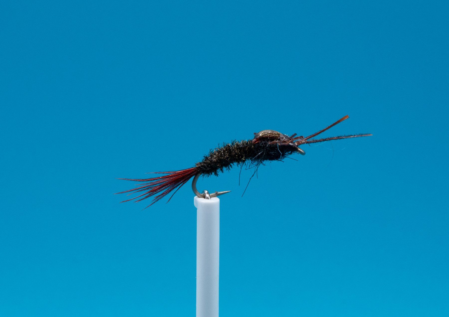 Köder: 5 verschiedene Nymph – Neu (gemäss Beschreibung) aus Grenchen von firefly2000 5