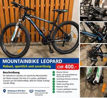 Schönes günstiges Montaine - Bike 