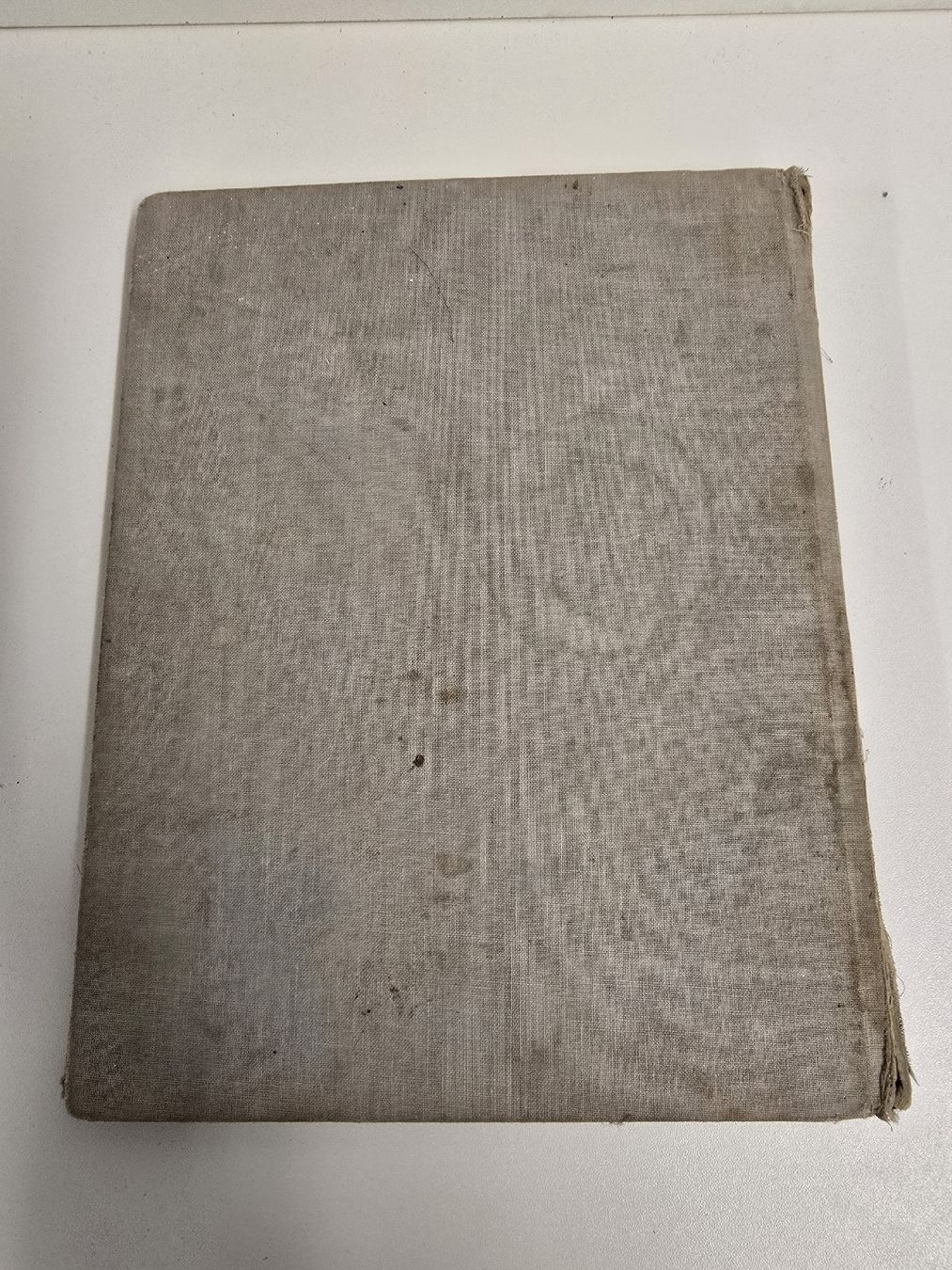Libri: Altes Kinderbuch Aschenbrödel / Bambi, Disney – Usato da Tuggen venduto da Zweitechanceboutique 2