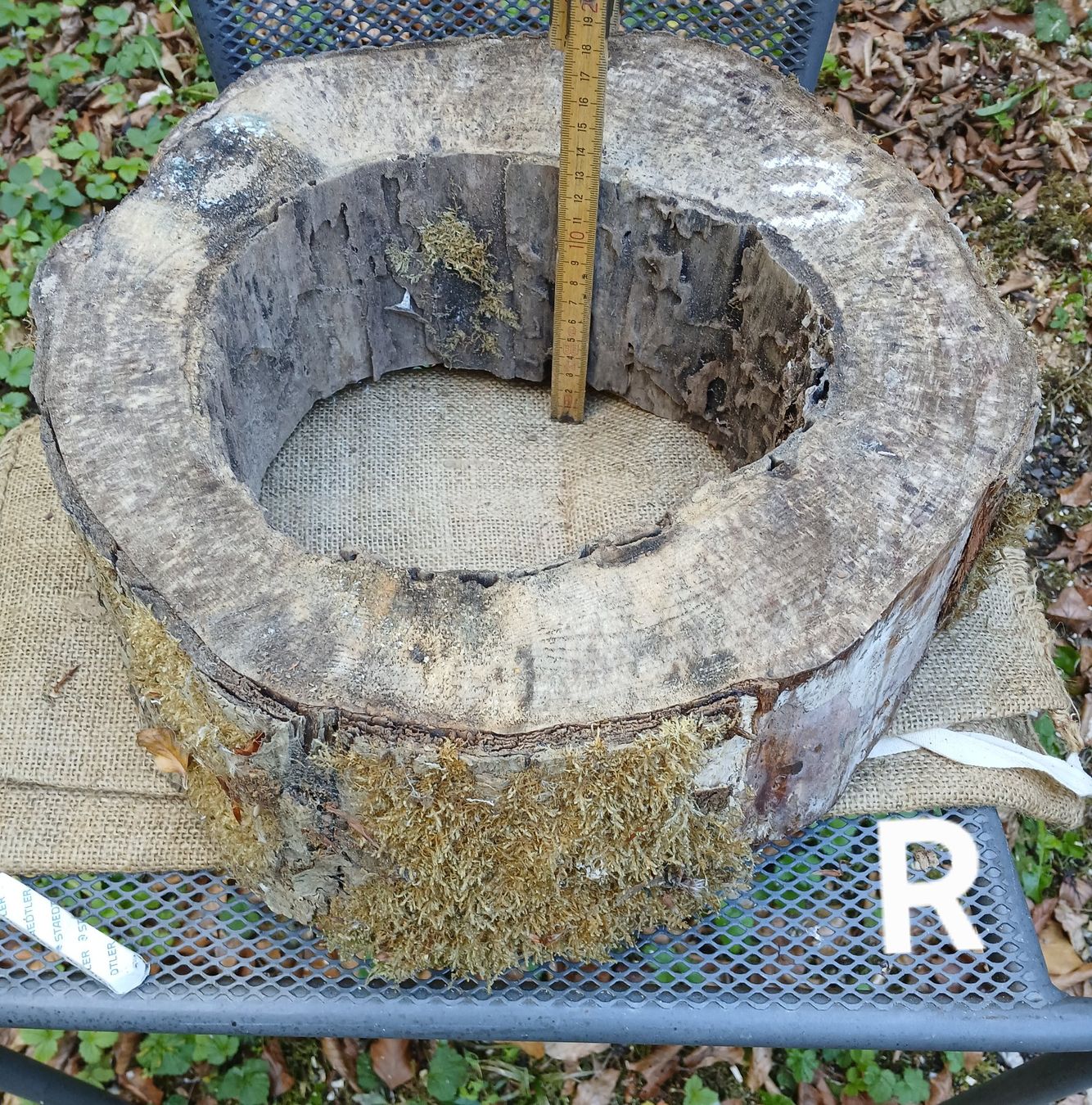 Articoli in legno: Baumscheibe Natur hohl, roh >  B3 – Usato da Bilten venduto da Archiv55 2
