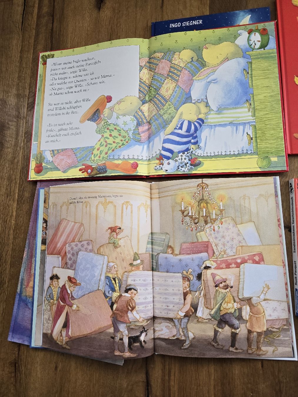 Libri: bücher set – Usato da Wittenbach venduto da Tigerlili 3