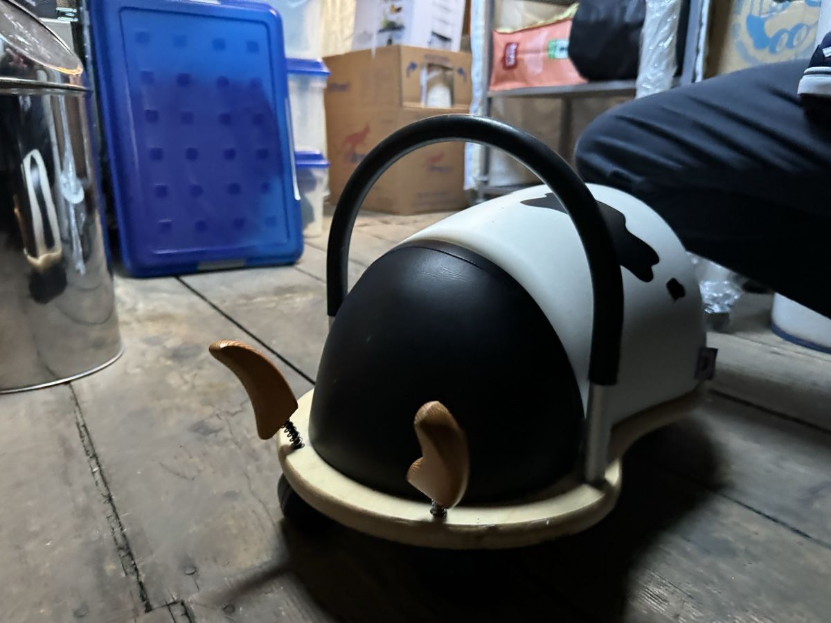 Veicoli per bambini: Wheely Bug Lauflernhilfe – Usato da Zürich venduto da pet_2lhx 2