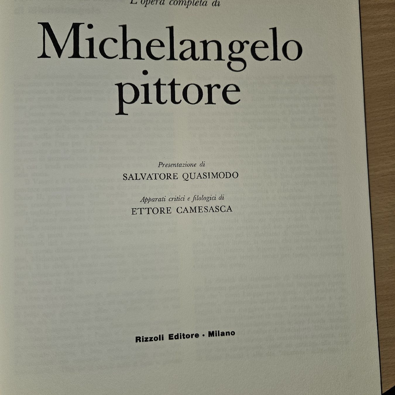 Libri: Michelangelo pittore - Klassisches Kunstbuch – Usato da Kriens venduto da gra_fhn7 4