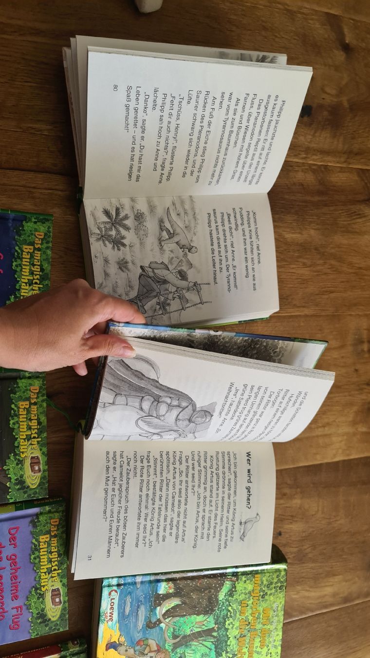 Libri: das magische baumhaus bücher set – Usato da Wittenbach venduto da Tigerlili 1