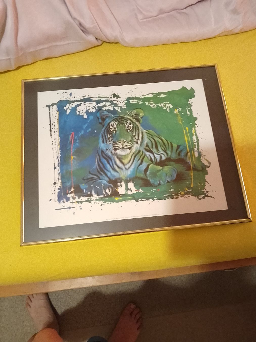 Foto & Immagini: Rolf Knie Bild, Tiger – Usato da Weinfelden venduto da PaterPio1968