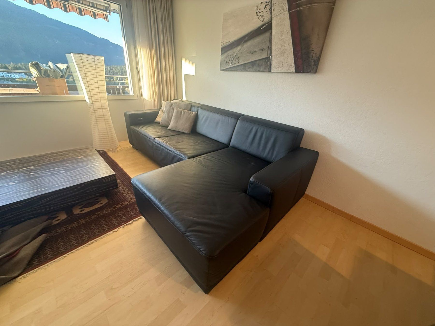 Divani: Teilelektrisches Leder-Sofa – Usato da Züberwangen venduto da Hitman49 2