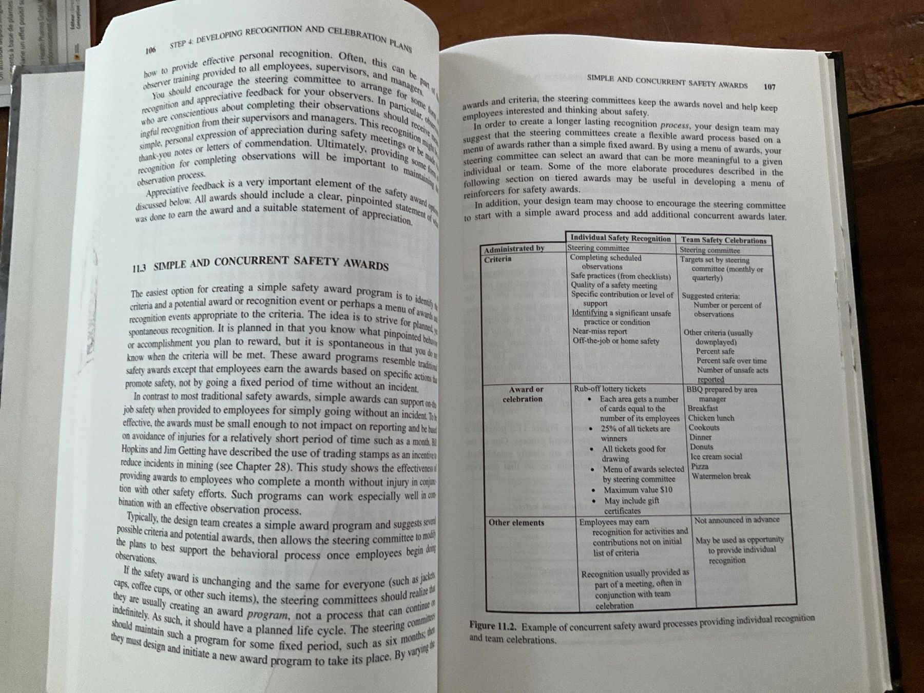 Libri: The Values-Based Safety Process Terry McSween – Usato da Avenches venduto da Lactobacille 8
